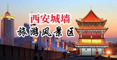 自慰嫩穴呻吟挑逗诱惑,BD中国陕西-西安城墙旅游风景区